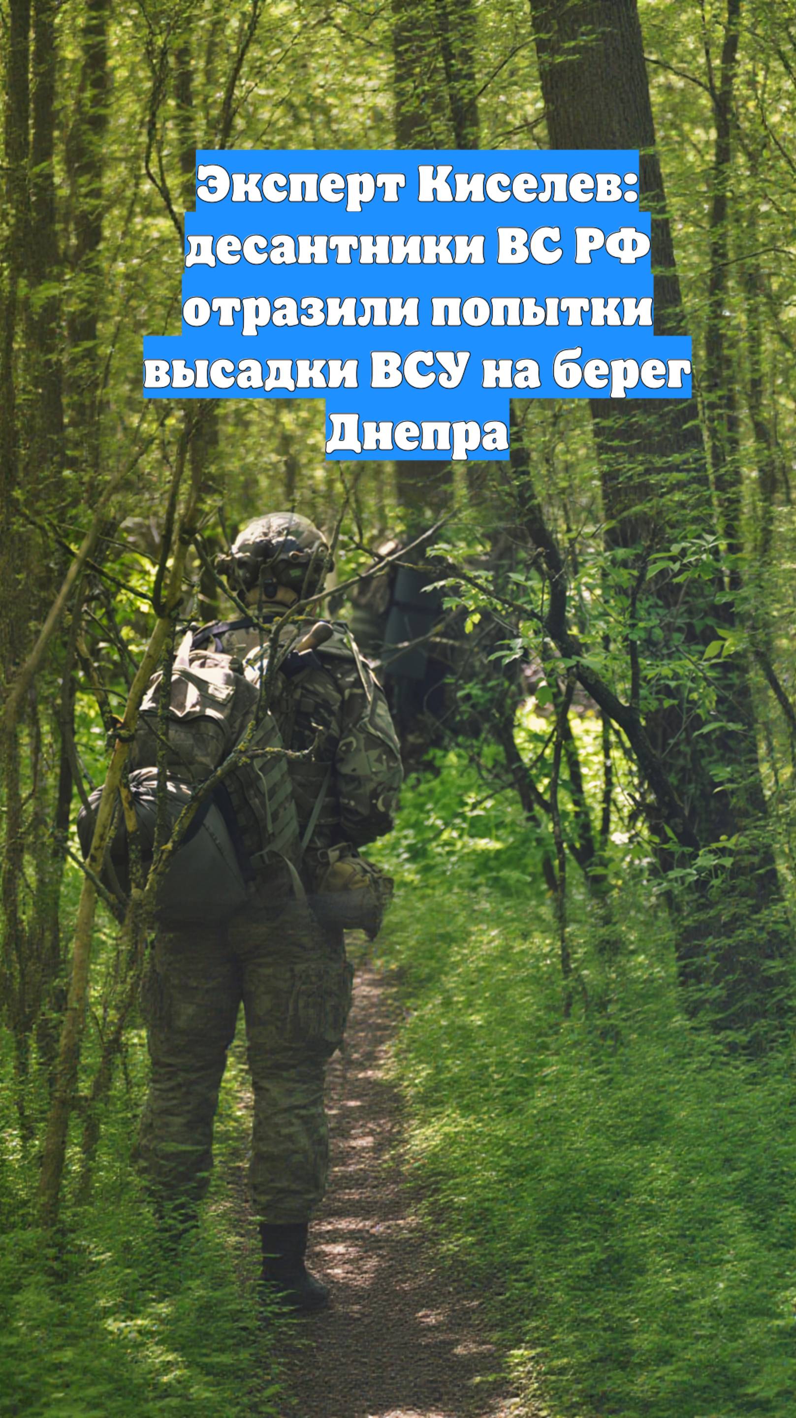 Эксперт Киселев: десантники ВС РФ отразили попытки высадки ВСУ на берег Днепра