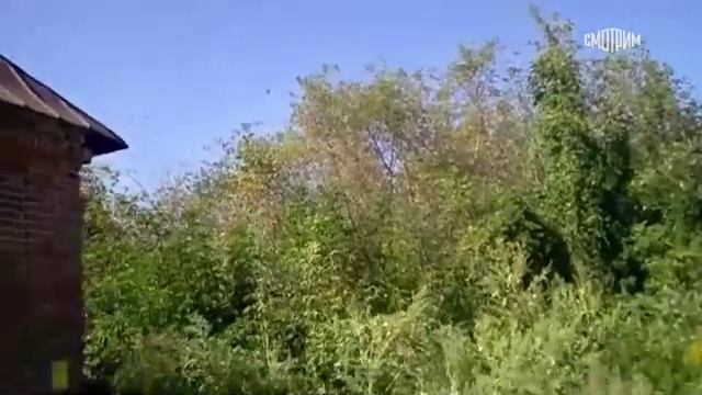 Это гильза, которую отправляет Трамп на Украину