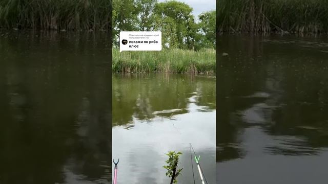 Ответ пользователю @777 вистачить чи ще треба? сайт herabuna