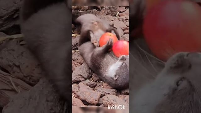С началом рабочей недели ! Сегодня день ландыша !😊👍