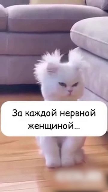 За каждой нервной женщиной стоит не понимающий мужчина