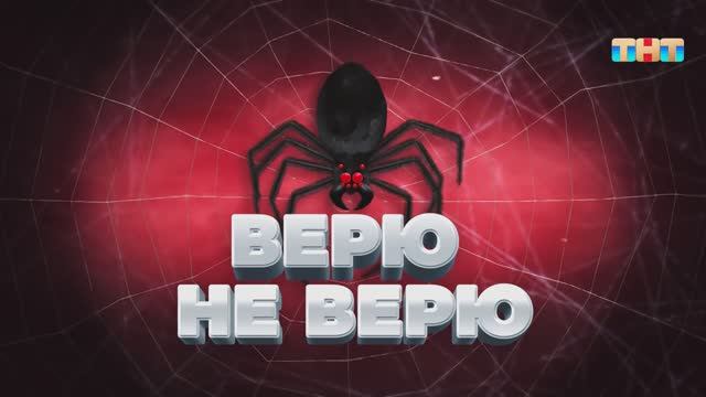 Игра «Верю не верю» | ШОУ ВОЛИ