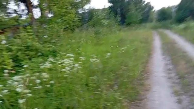 Всё что осталось от деревни.15.05.2025