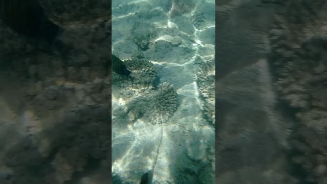 1000218510.mp4
