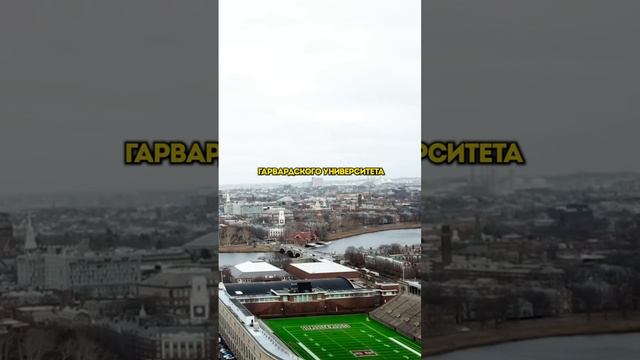 Что такое "лига плюща"? #shorts