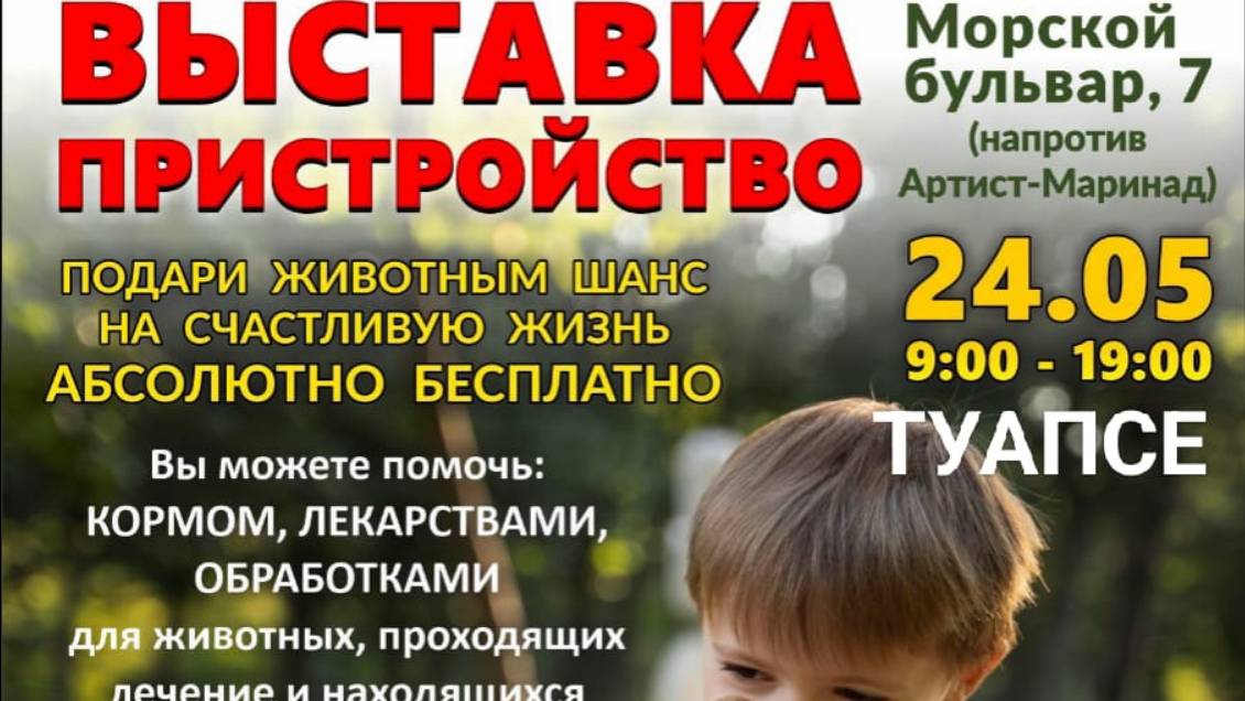 В Туапсе 24.05.25 пройдет выставка-пристройство бездомных животных.