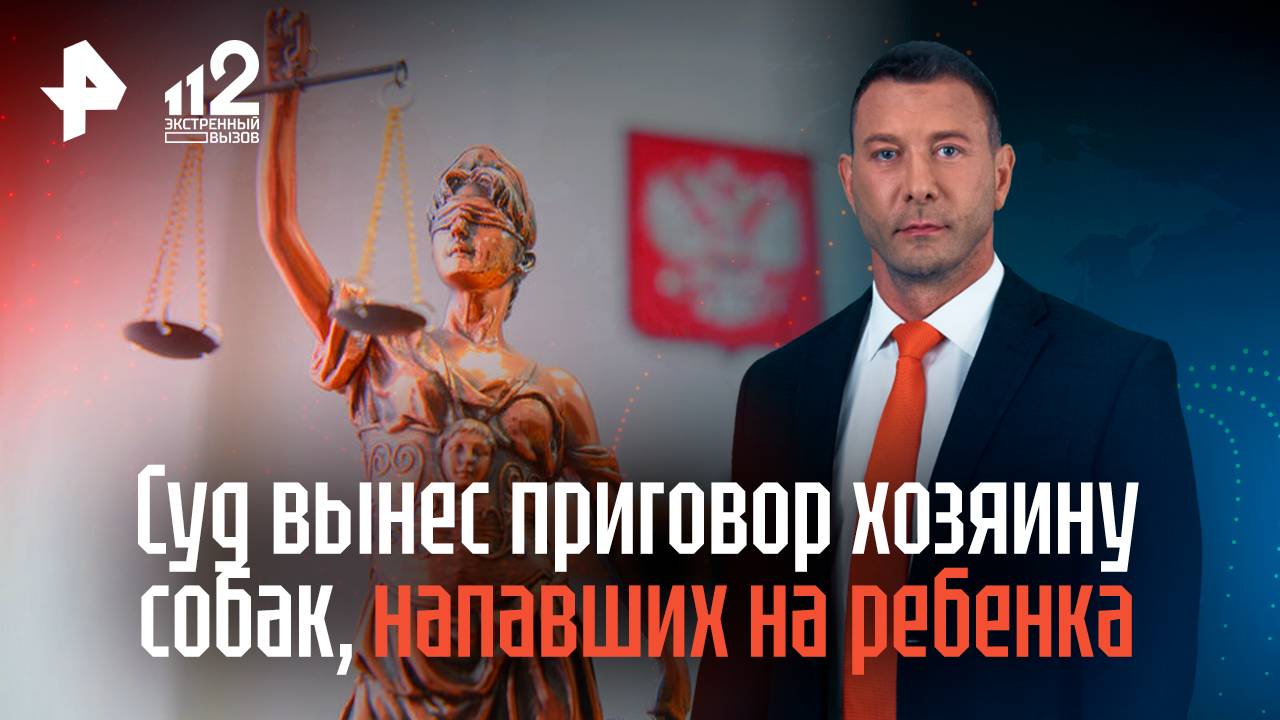 Суд вынес приговор хозяину собак, разорвавших лицо мальчику в Сочи