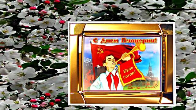 С Днём Пионерии 8! Поздравление от Киностудии Мудрого Кота Тимофея!!!