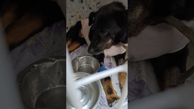 Бароша очень нуждается в помощи