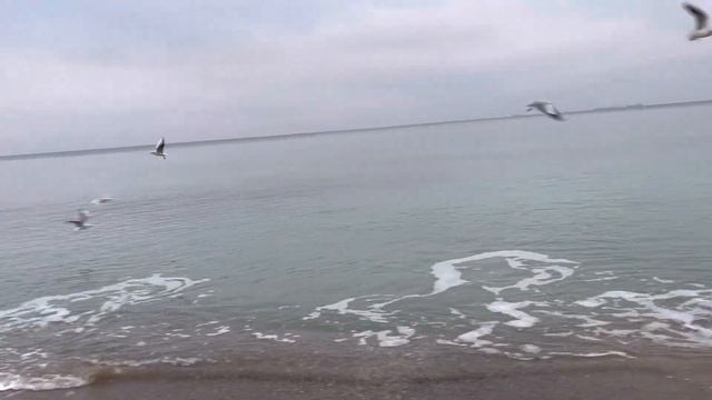 УТРО 🌞 МОРЕ 🌊ШАГОМЕР 👣