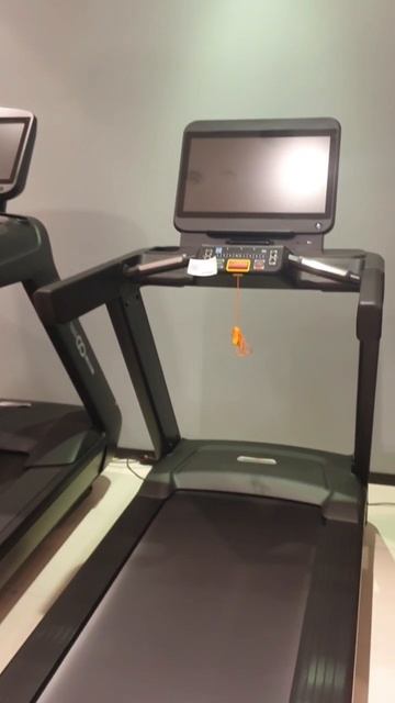 Беговая дорожка CardioPower PRO CT420