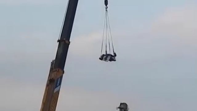 Крановщик прокатил коллегу над крышами домов на одной из строек в Приморье.