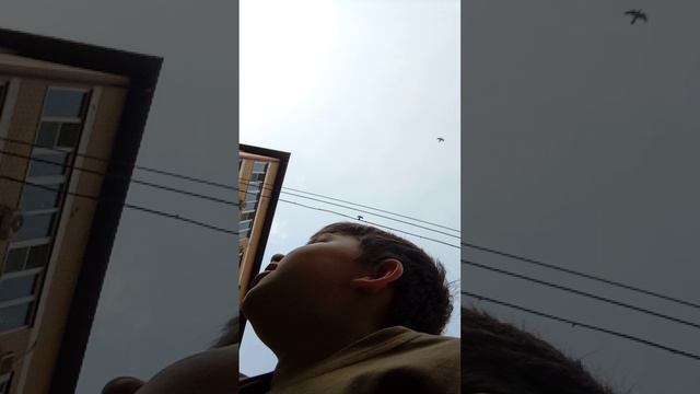 VID_20250330_155710.mp4