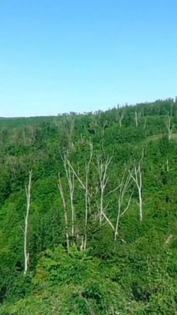 Молодецкий курган. Жигулевск..