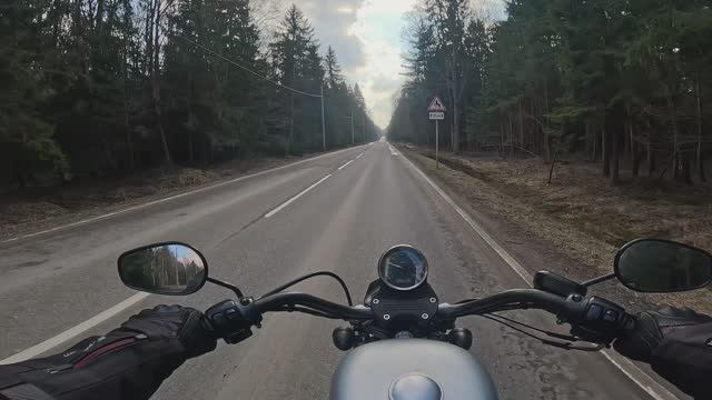 Harley Davidson Sportster XL1200N POV Кленово