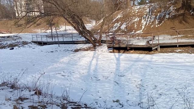 На острове в Нижнем Корнеевском пруду, 202-02-26_15:13:35