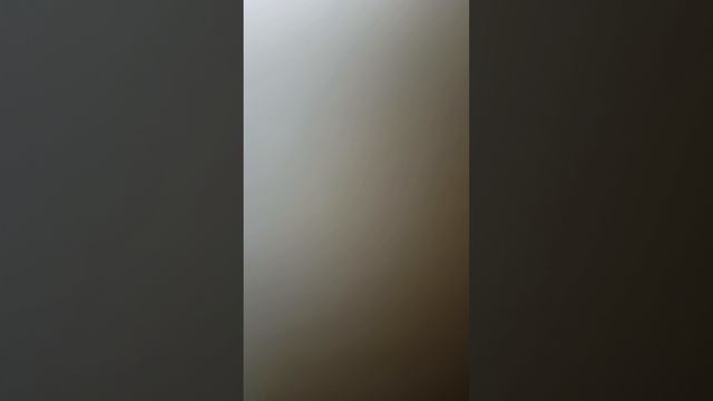 1000020882.mp4ррмримп