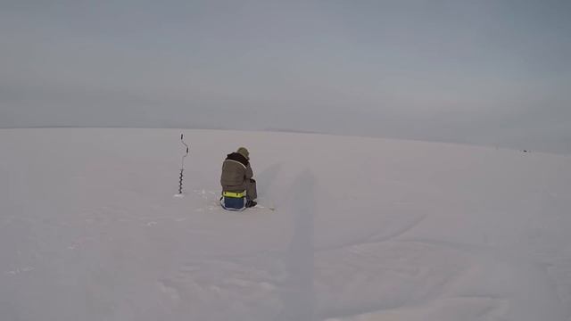 Песчаный окунь. Рыбалка на 3 дня