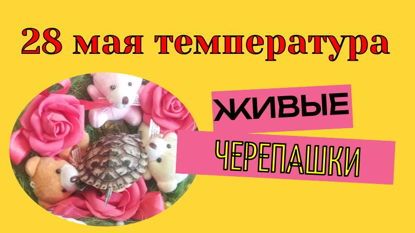 28 мая температура