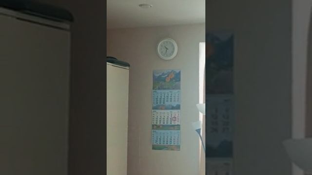 17.05.25/10:30 Сверлят