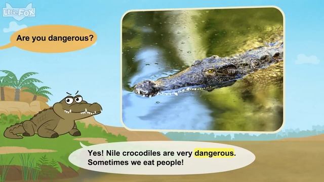 Meet the Animals 3 _ Nile Crocodile _ Wild Animals _ Little Fox _ Animated Stori