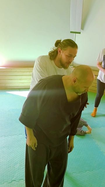 Волна в Тайцзы-Цигун СеверДао. Применение. Виктор Сенников