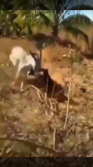 обратка настигла