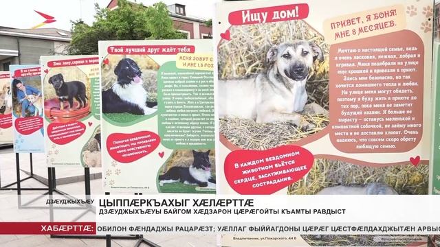 Горькийы номыл уынджы сæйраг паркмæ бахизæны байгом сæрмагонд равдыст