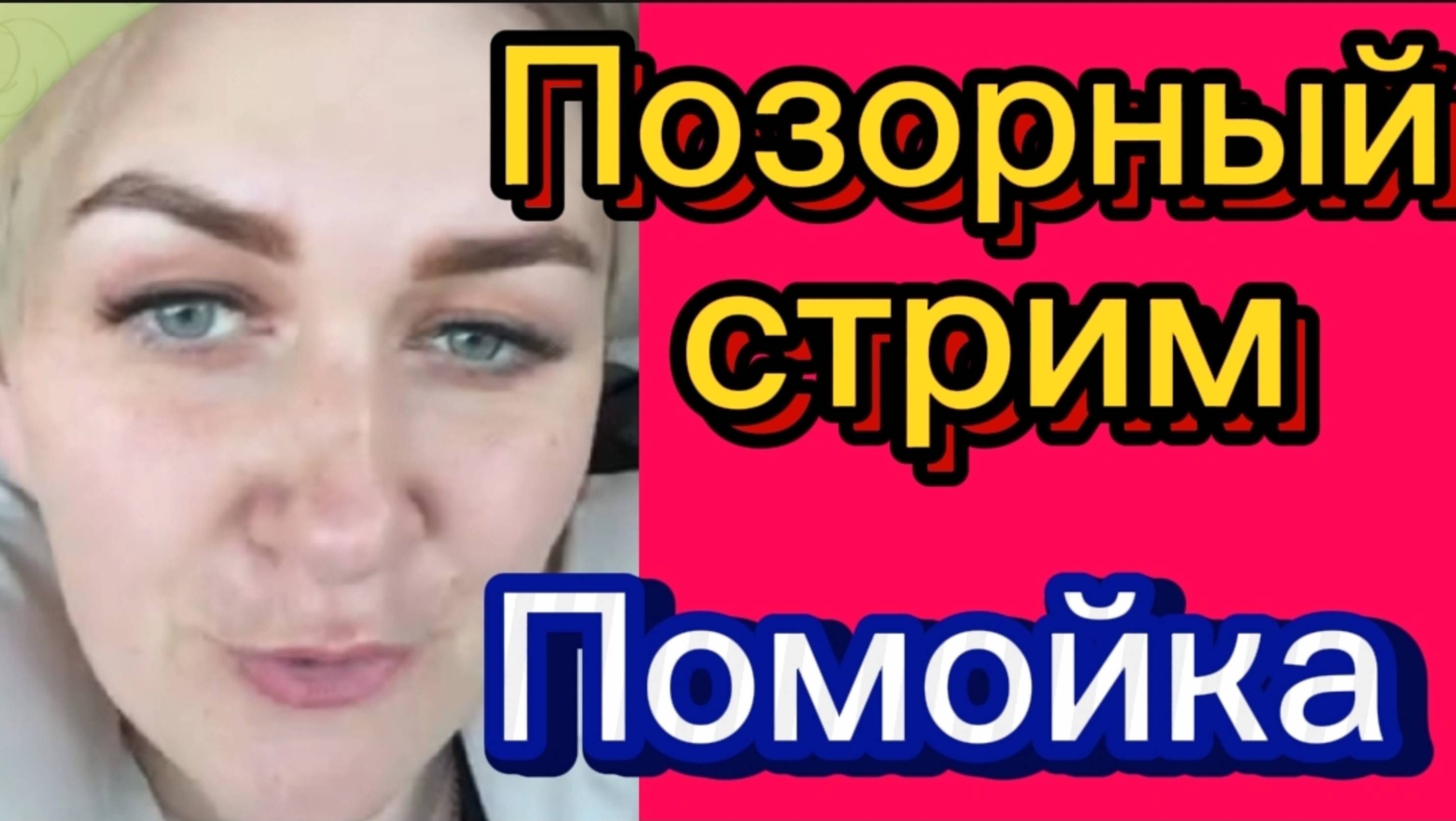 Обзор на стрим. Деревенский дневник.