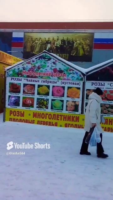 Омск, Континент.
