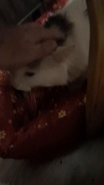 Новое почётное место для Васи.