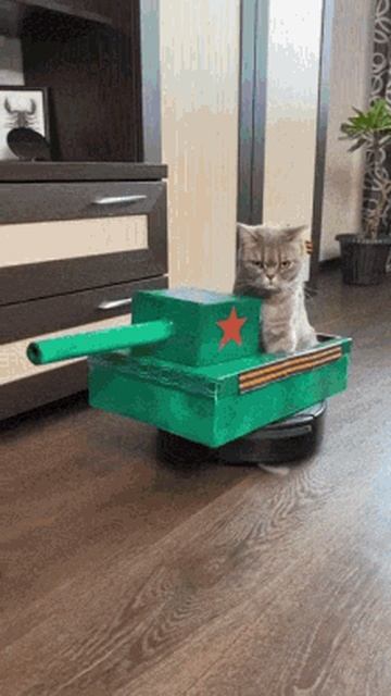 кот на роботе пылесосе🤣🤣🤣🤣🤣