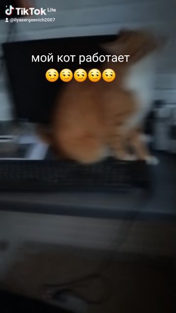 1000010128.mp4