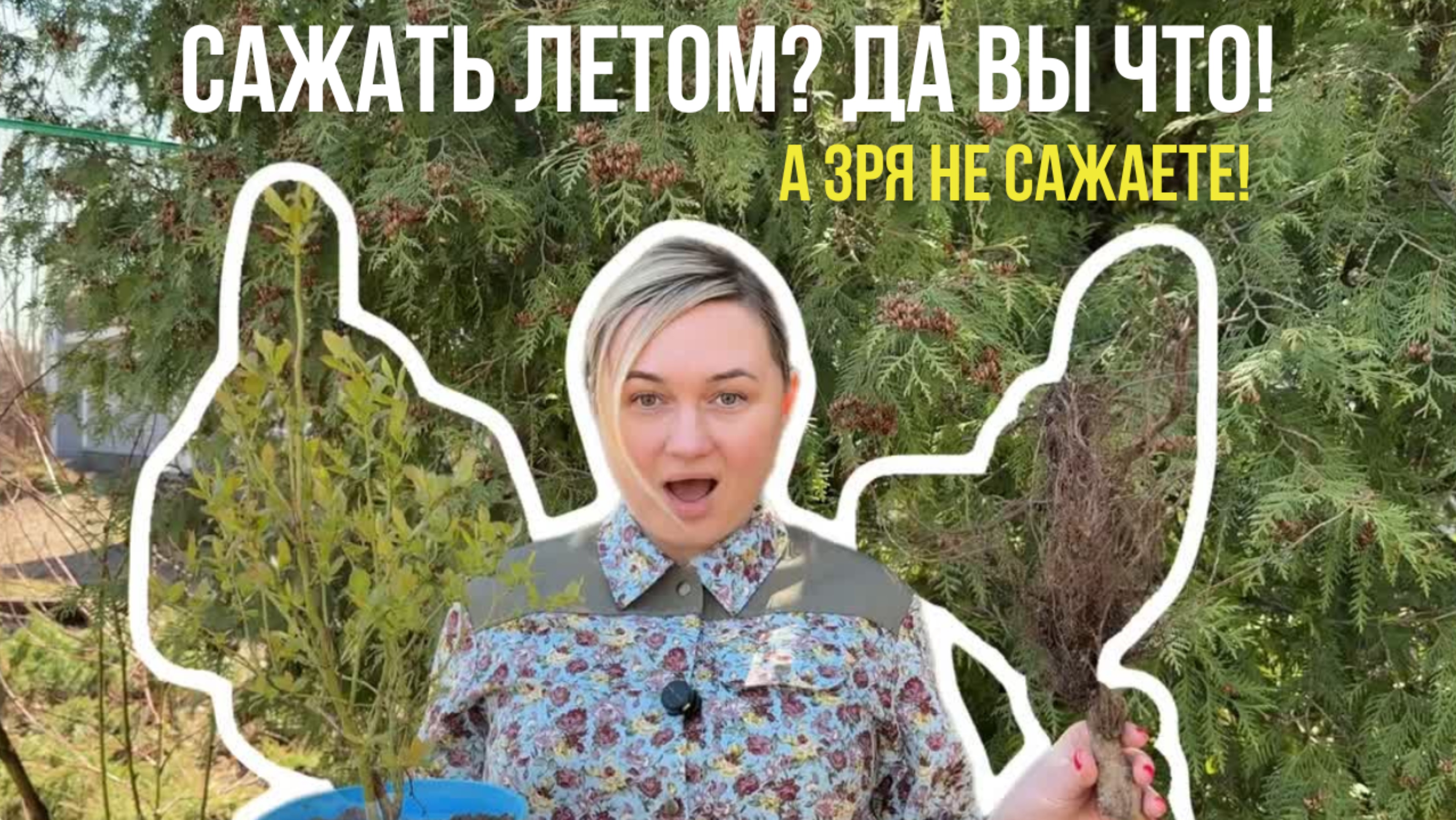 Не сажай летом? Ошибка,которая мешает тебе вырастить сад.