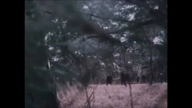 Хон Гиль Дон лучшие моменты.