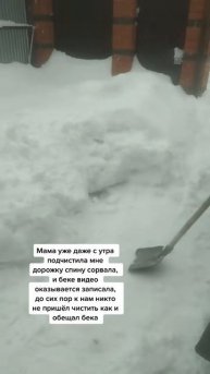 Белладонна Милославская (1241)