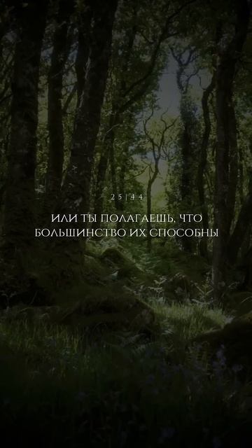 Сура 25 Аль-Фуркан (Различение), Аяты 43-44. Чтец: Мухаммад аль-Люхайдан