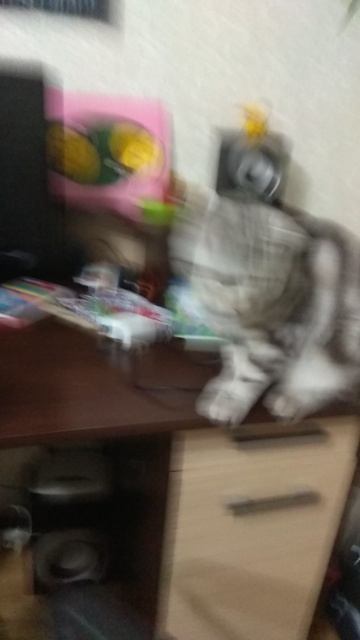 standoff 2