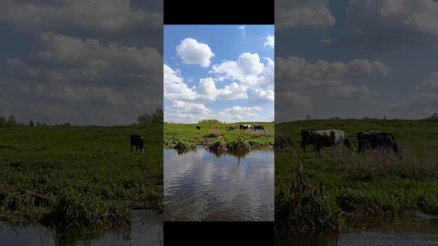 Сплав на САП борде по реке Воря ,Клязьма