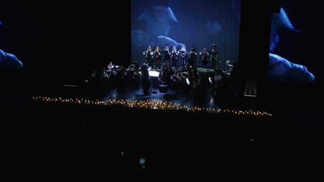 Мультимедийный концерт «Гарри Поттер и СимфоМультимедия»
