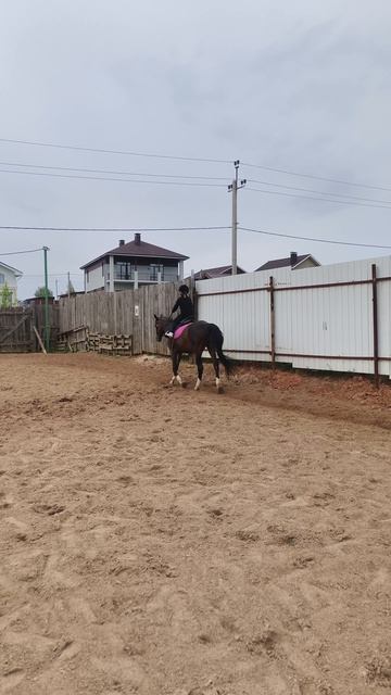 Сонечка и Флейта, самостоятельная рысь на плацу.