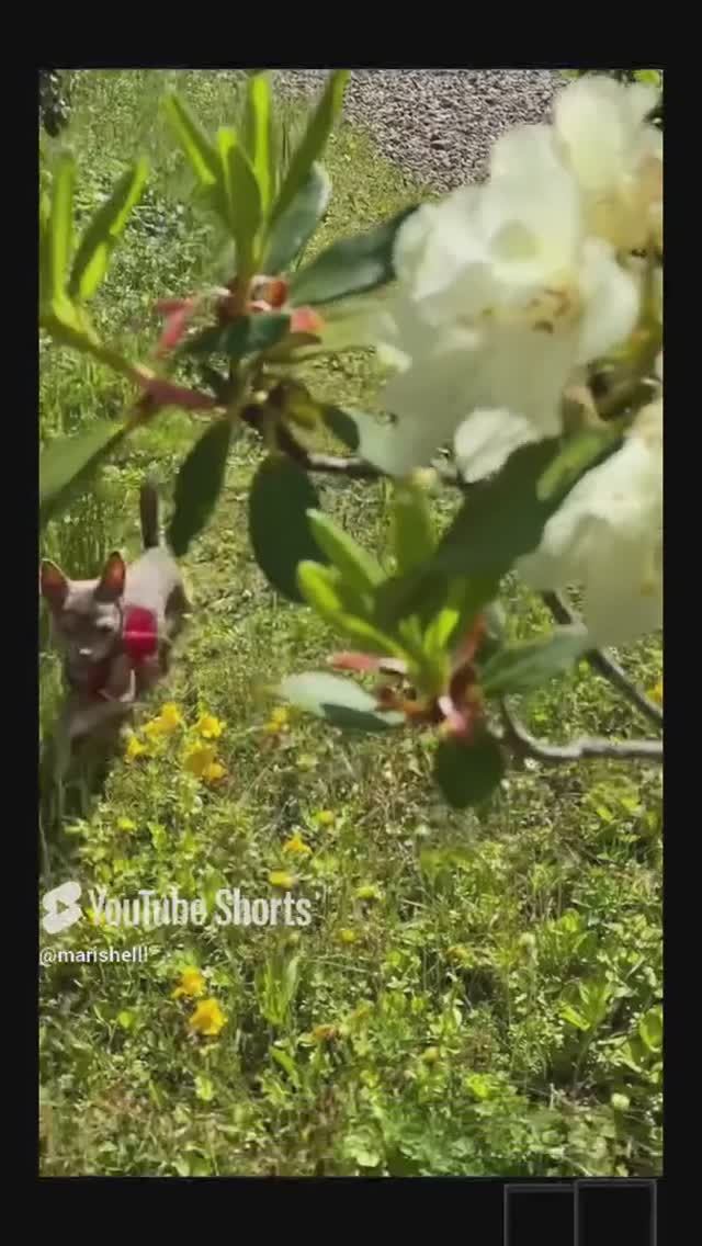 Ниночкины любимые анекдоты