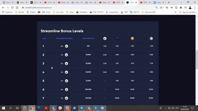 Crowd1 Новости от Веры Черных: Как увеличить свой стримлайн бонус