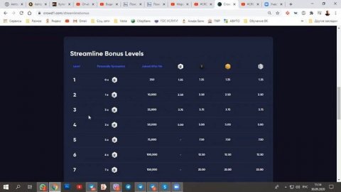 Crowd1 Новости от Веры Черных: Как увеличить свой стримлайн бонус