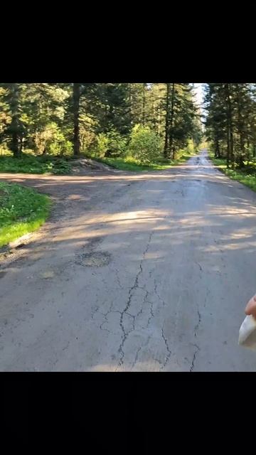 Стабильность - путь к успеху.
