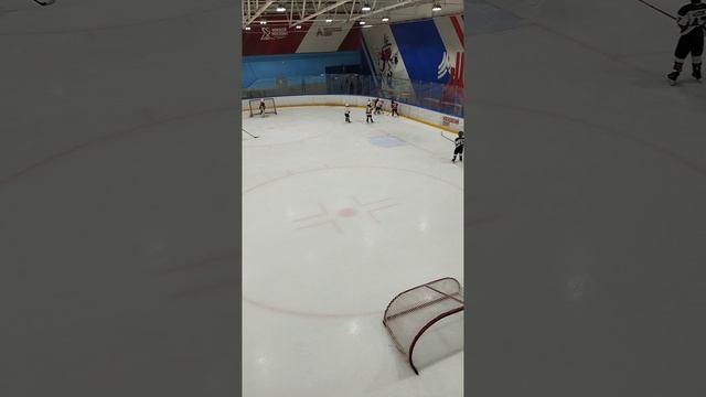 хоккей