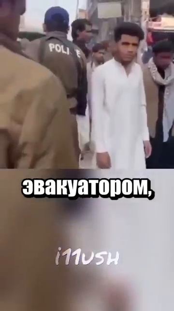 i11ushenka (111)