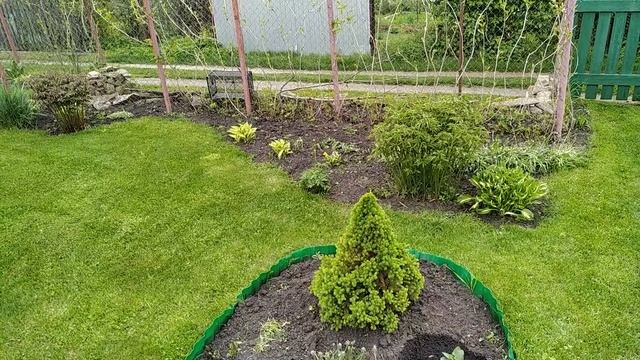 Сад. Пасмурно. 19.05.2025
