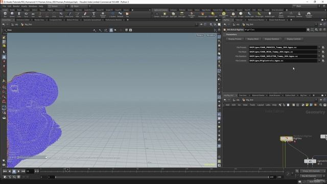 3. Деформация, Позвоночник и Стопы.