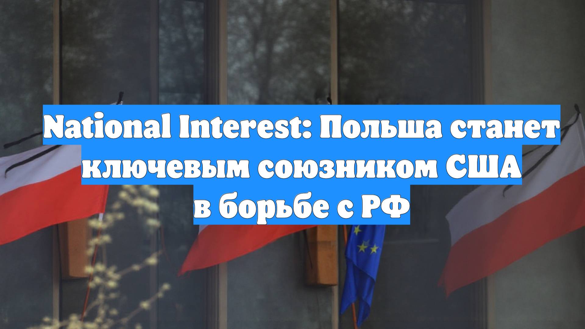 National Interest: Польша станет ключевым союзником США в борьбе с РФ